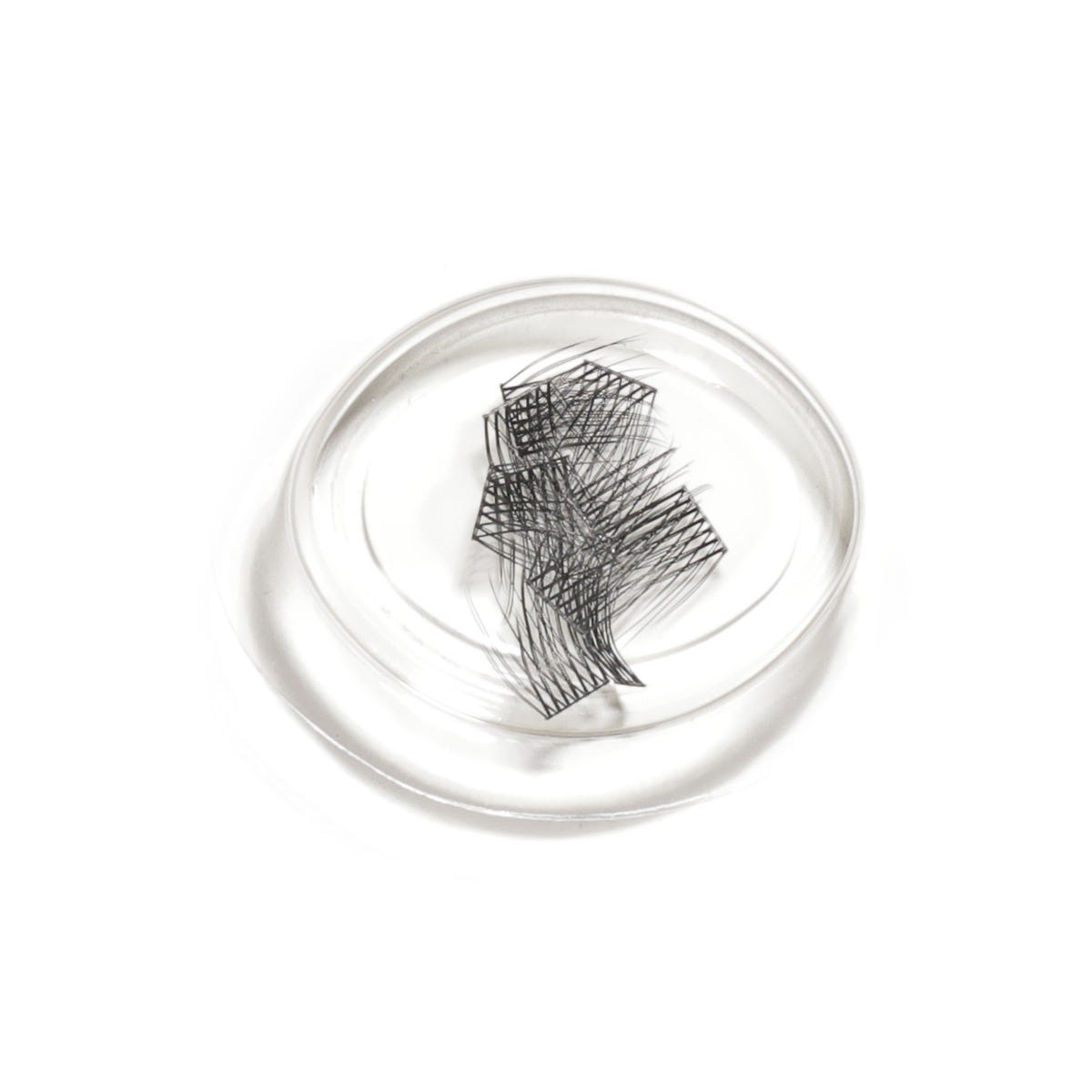 lashsense-lashes-refill-plumeria-1-ct