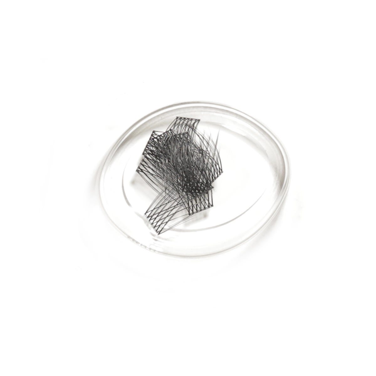 lashsense-lashes-refill-plumeria-1-ct